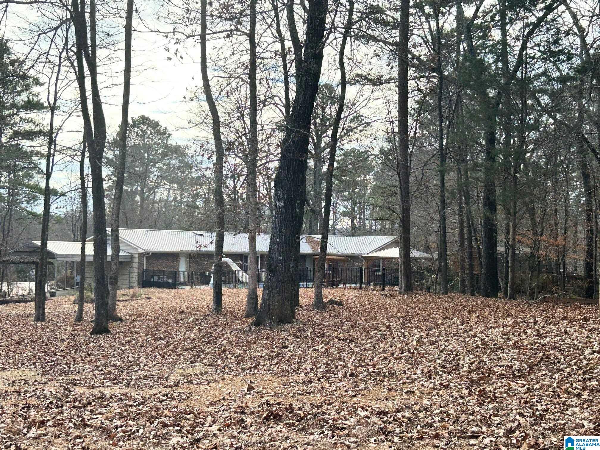55 Benton Road Jacksonville, AL 36265 - Photo 31 of 42