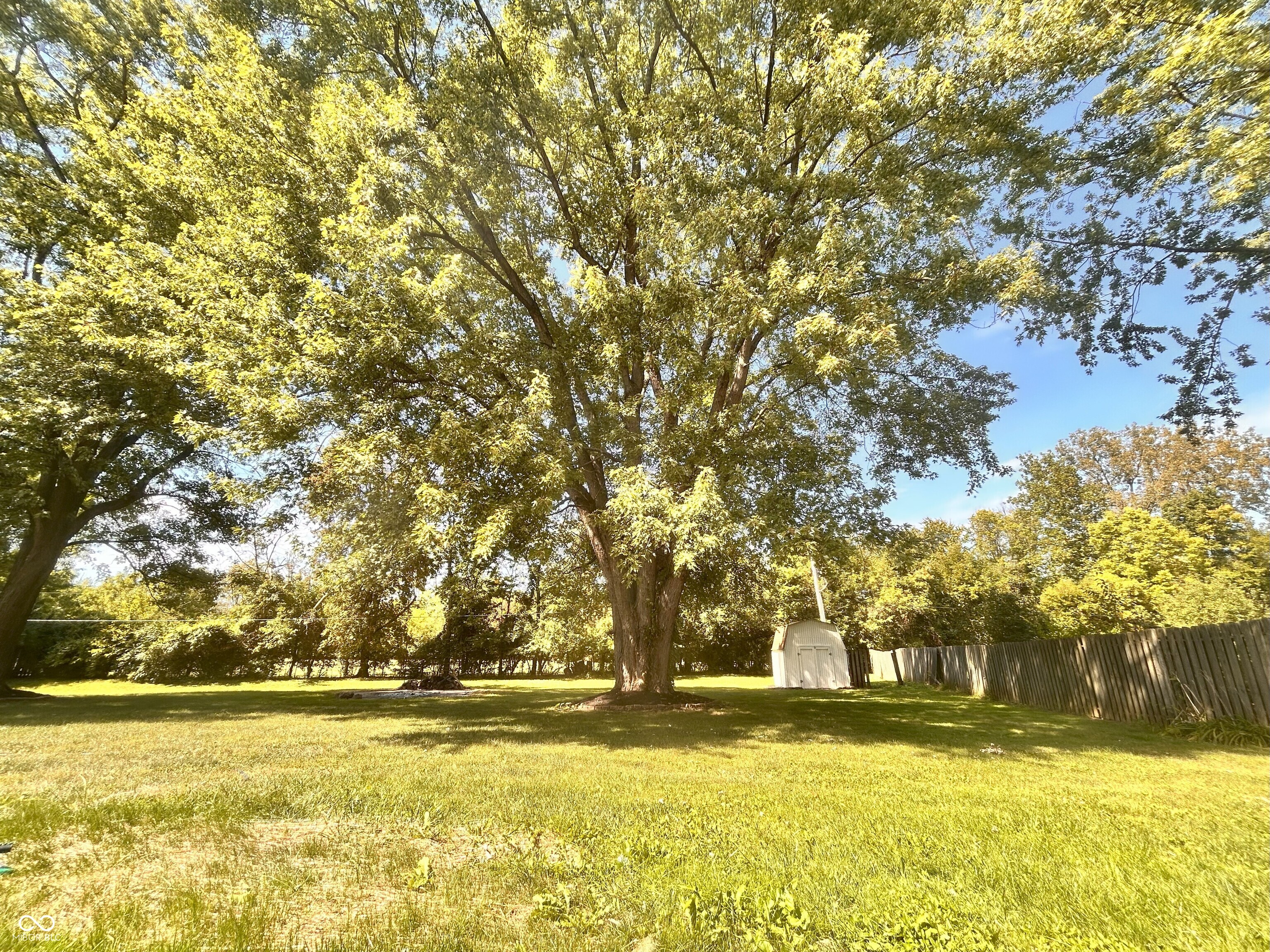 908 North Meadows Lane Greenfield, IN 46140 - Photo 49 of 53