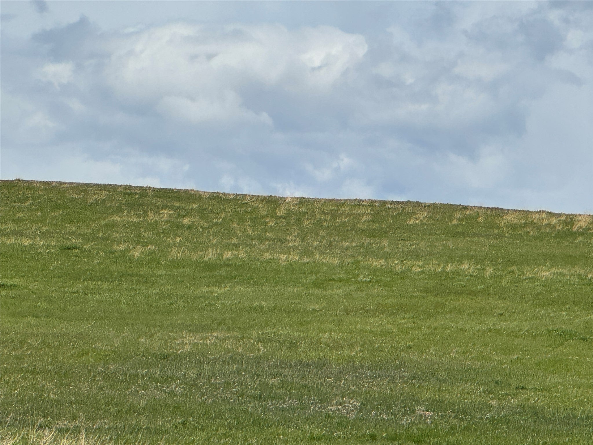 30 Red Coulee Road Belt, MT 59412 - Photo 1 of 16 Gallery Image 1