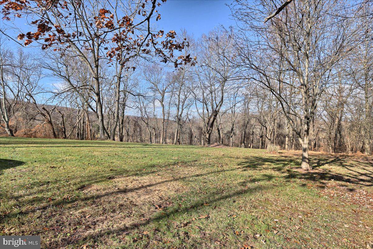 1007 Silver Lake Road Lewisberry, PA 17339 - Photo 49 of 68