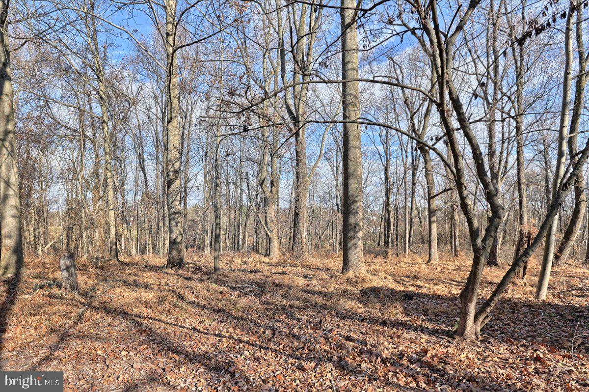 1007 Silver Lake Road Lewisberry, PA 17339 - Photo 50 of 68