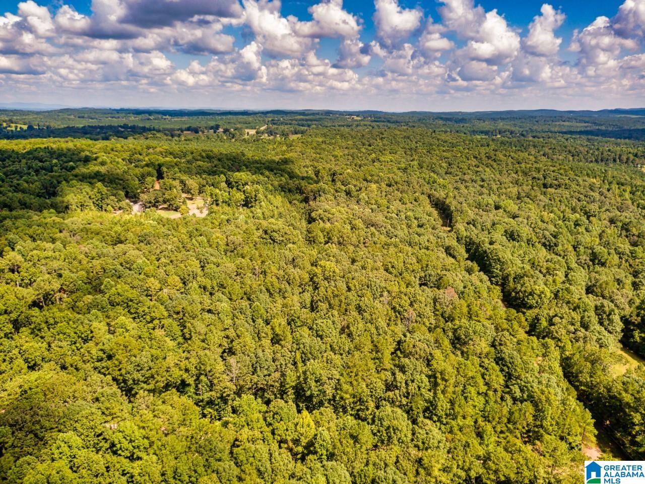 Pinetuckey Drive, Unit 10 Lineville, AL 36266 - Photo 6 of 7