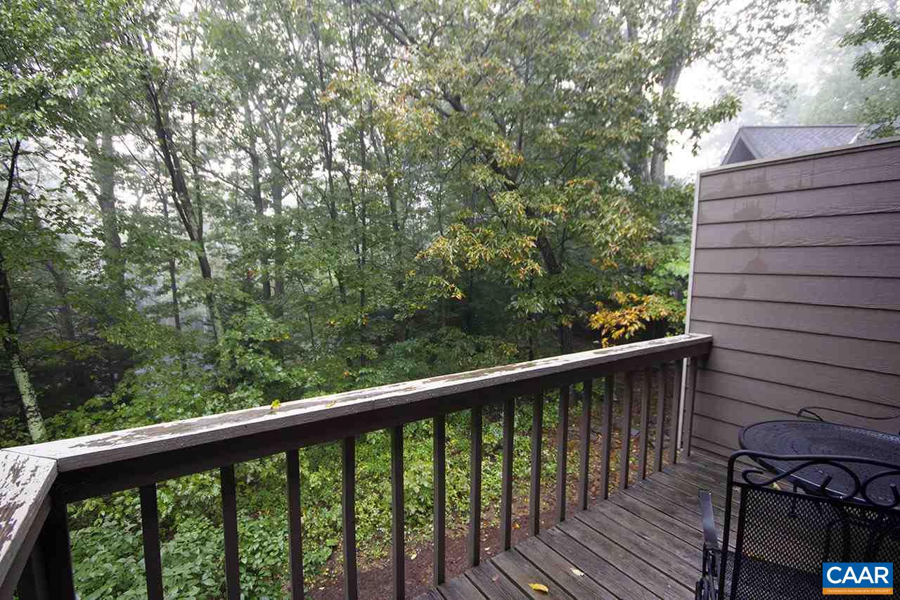 465 Three Ridges Roseland, VA 22967 - Photo 13 of 13 Gallery Image 13