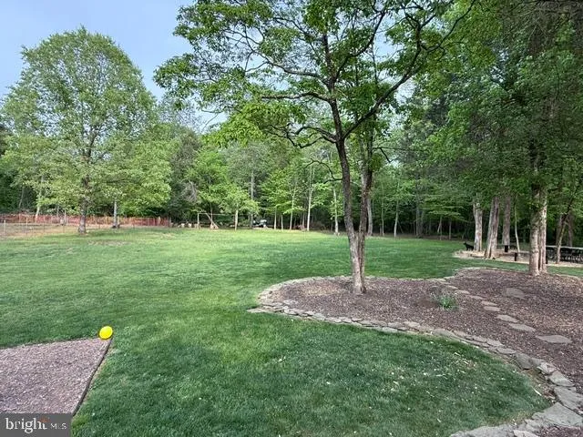 a view of a park with large trees