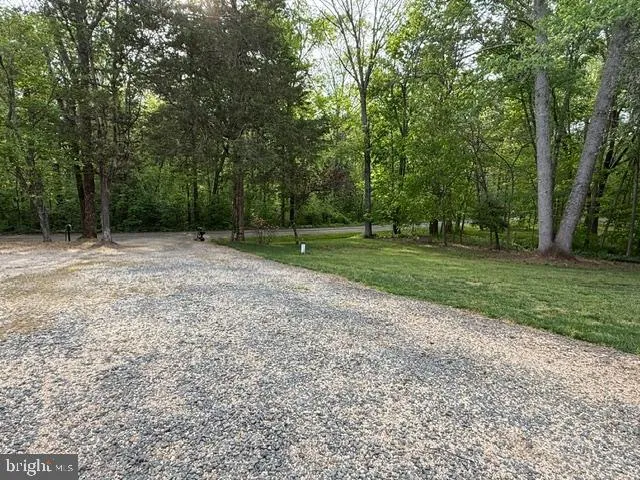a view of a park with large trees
