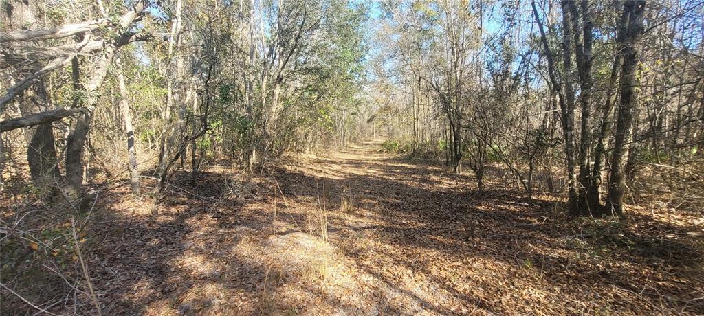 Southwest Sr751 Jasper, FL 32052 - Photo 4 of 10 a view of outdoor space and a yard