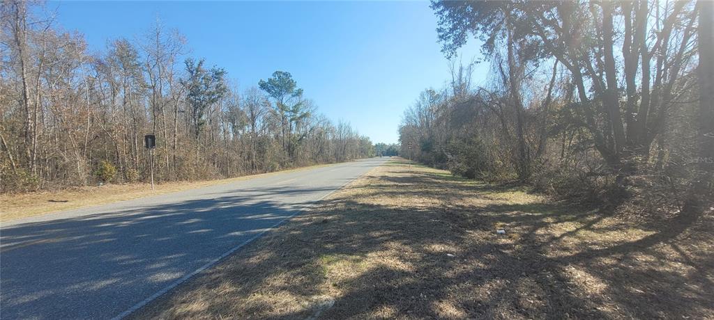 Southwest Sr751 Jasper, FL 32052 - Photo 6 of 10 a view of dirt yard with trees