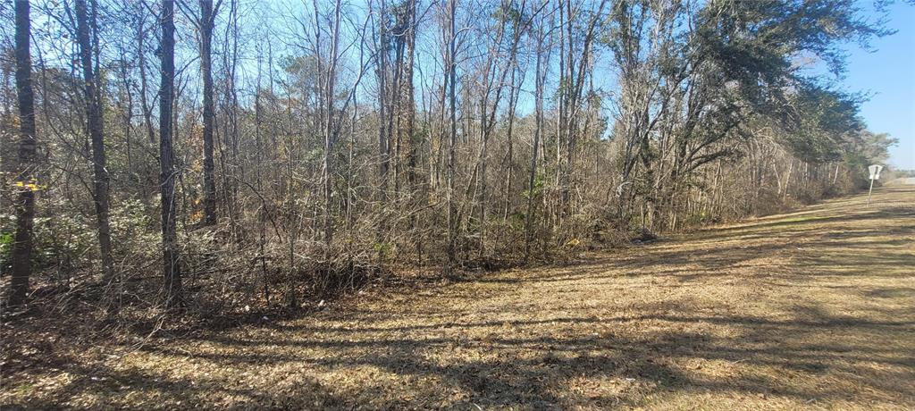 Southwest Sr751 Jasper, FL 32052 - Photo 7 of 10 a view of a yard with trees