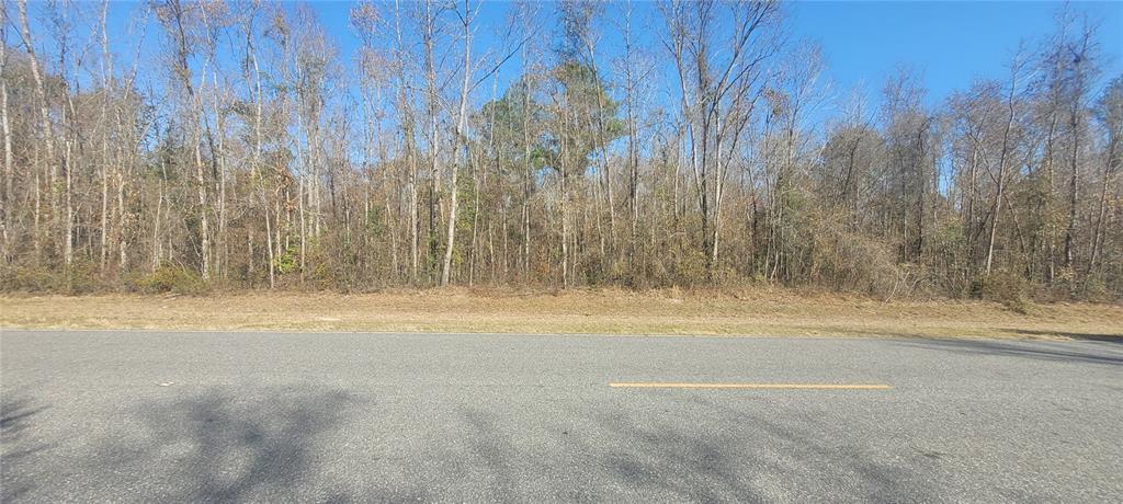 Southwest Sr751 Jasper, FL 32052 - Photo 8 of 10 a view of a dry yard with trees