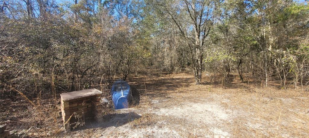 Southwest Sr751 Jasper, FL 32052 - Photo 9 of 10 a view of yard