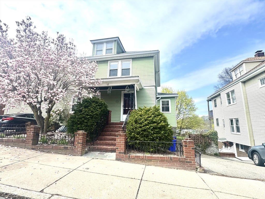 53 Breck Avenue Boston, MA 02135 - Photo 1 of 35 a front view of a house with a tree
