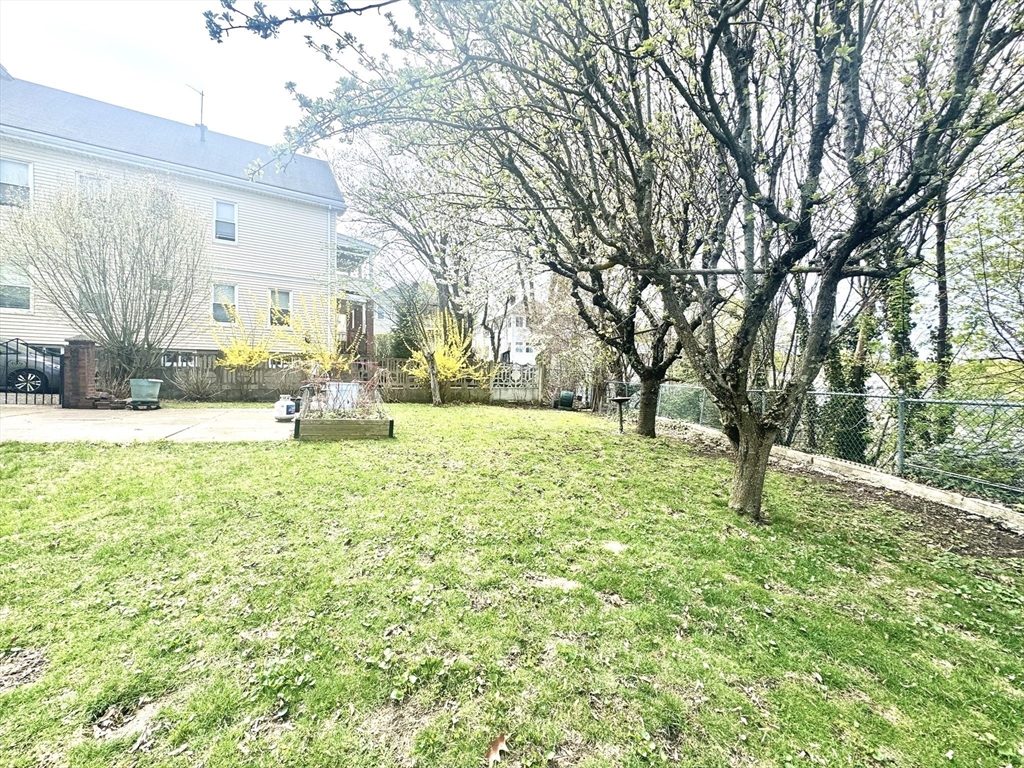 53 Breck Avenue Boston, MA 02135 - Photo 33 of 35 a view of a yard with a house and large trees