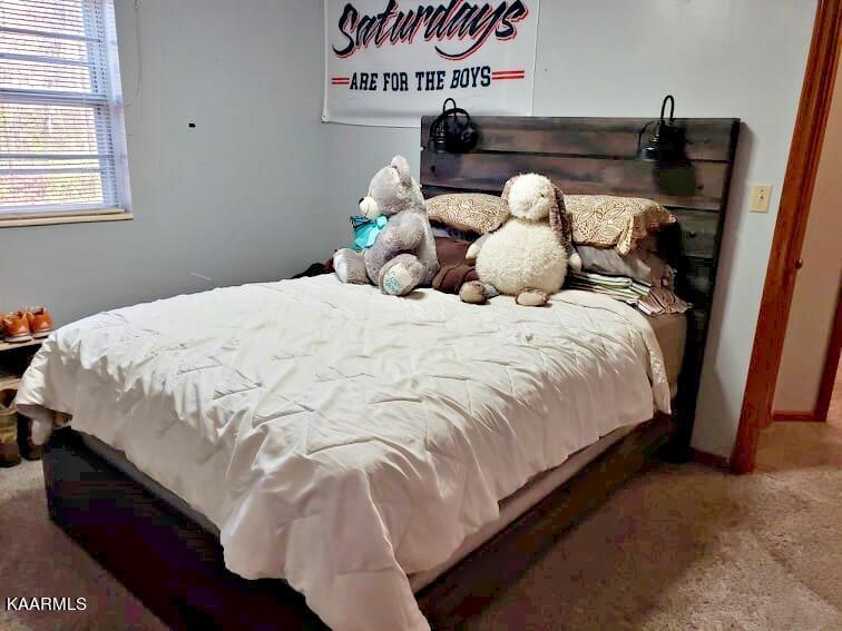 192 Crestwood Circle Decatur, TN 37322 - Photo 20 of 48 258890183_945800092700107_53929955766889