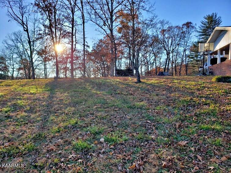 192 Crestwood Circle Decatur, TN 37322 - Photo 33 of 48 258980498_419100819575506_53254475004226