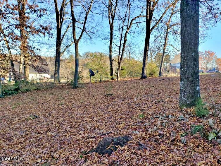 192 Crestwood Circle Decatur, TN 37322 - Photo 38 of 48 260409252_4935009929851633_1043358360165