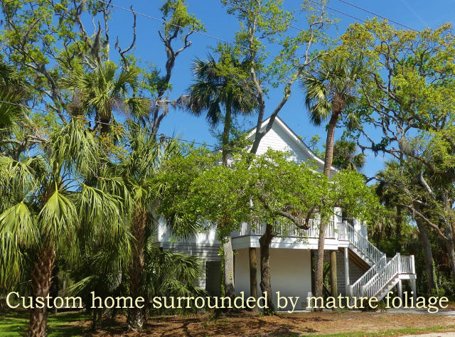 211 Jungle Road Edisto Island, SC 29438 - Photo 1 of 76 1