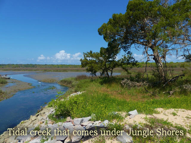 211 Jungle Road Edisto Island, SC 29438 - Photo 2 of 76 2