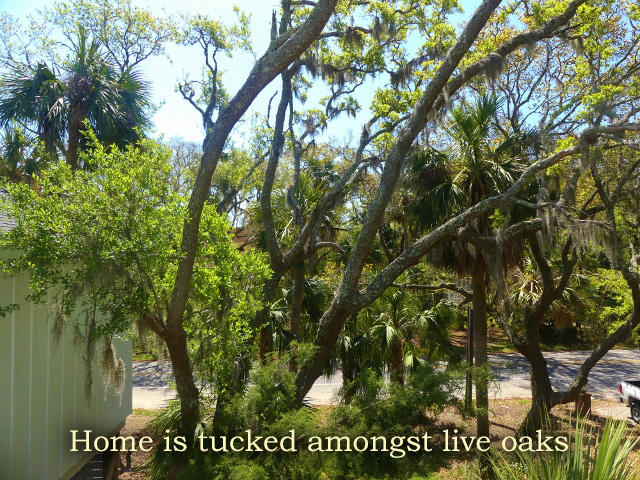 211 Jungle Road Edisto Island, SC 29438 - Photo 56 of 76 68