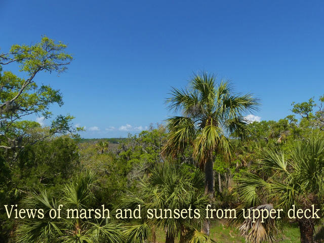211 Jungle Road Edisto Island, SC 29438 - Photo 60 of 76 72