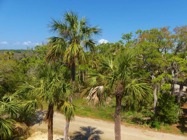 211 Jungle Road Edisto Island, SC 29438 - Photo 61 of 76 73