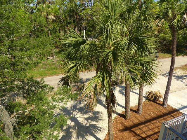 211 Jungle Road Edisto Island, SC 29438 - Photo 66 of 76 77a