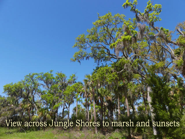 211 Jungle Road Edisto Island, SC 29438 - Photo 67 of 76 77b