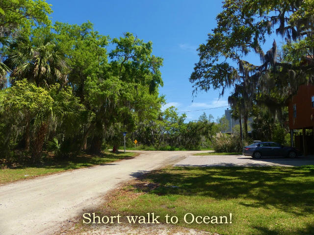 211 Jungle Road Edisto Island, SC 29438 - Photo 72 of 76 82