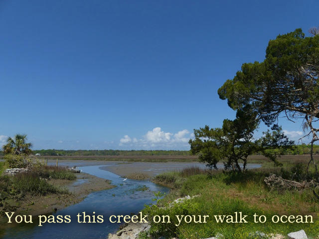 211 Jungle Road Edisto Island, SC 29438 - Photo 73 of 76 83