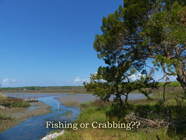 211 Jungle Road Edisto Island, SC 29438 - Photo 74 of 76 84