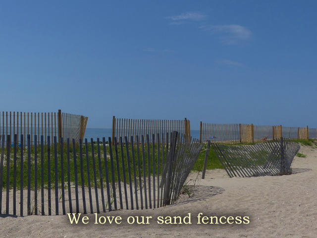 211 Jungle Road Edisto Island, SC 29438 - Photo 76 of 76 86