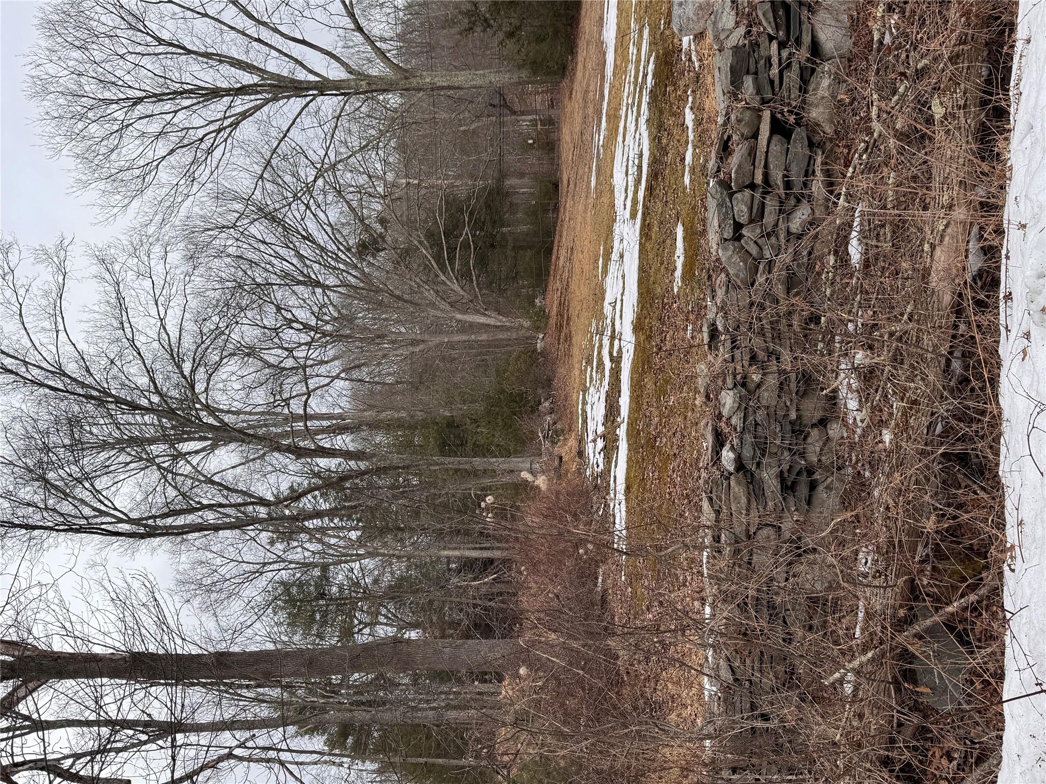 a view of a yard with a tree