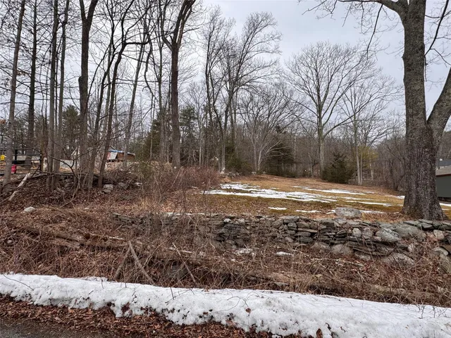 a view of a yard with a large tree