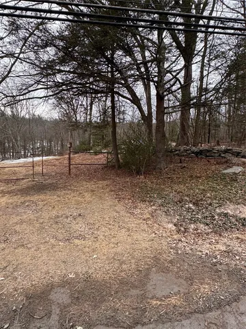 a view of backyard with green space