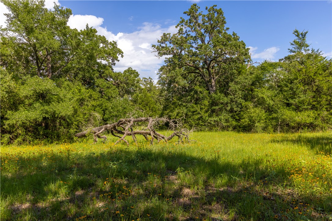 10102 Ferrill Creek Road Bryan, TX 77808 - Photo 10 of 29