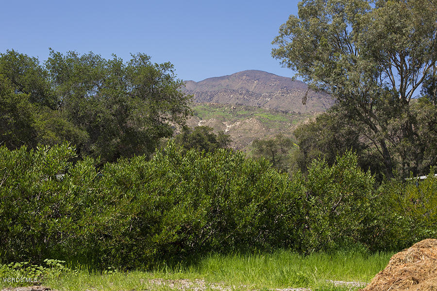 North Rice Road Ojai, CA 93023 - Photo 11 of 27 LHP_Rice Lot_11