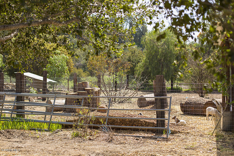 North Rice Road Ojai, CA 93023 - Photo 20 of 27 LHP_Rice Lot_20