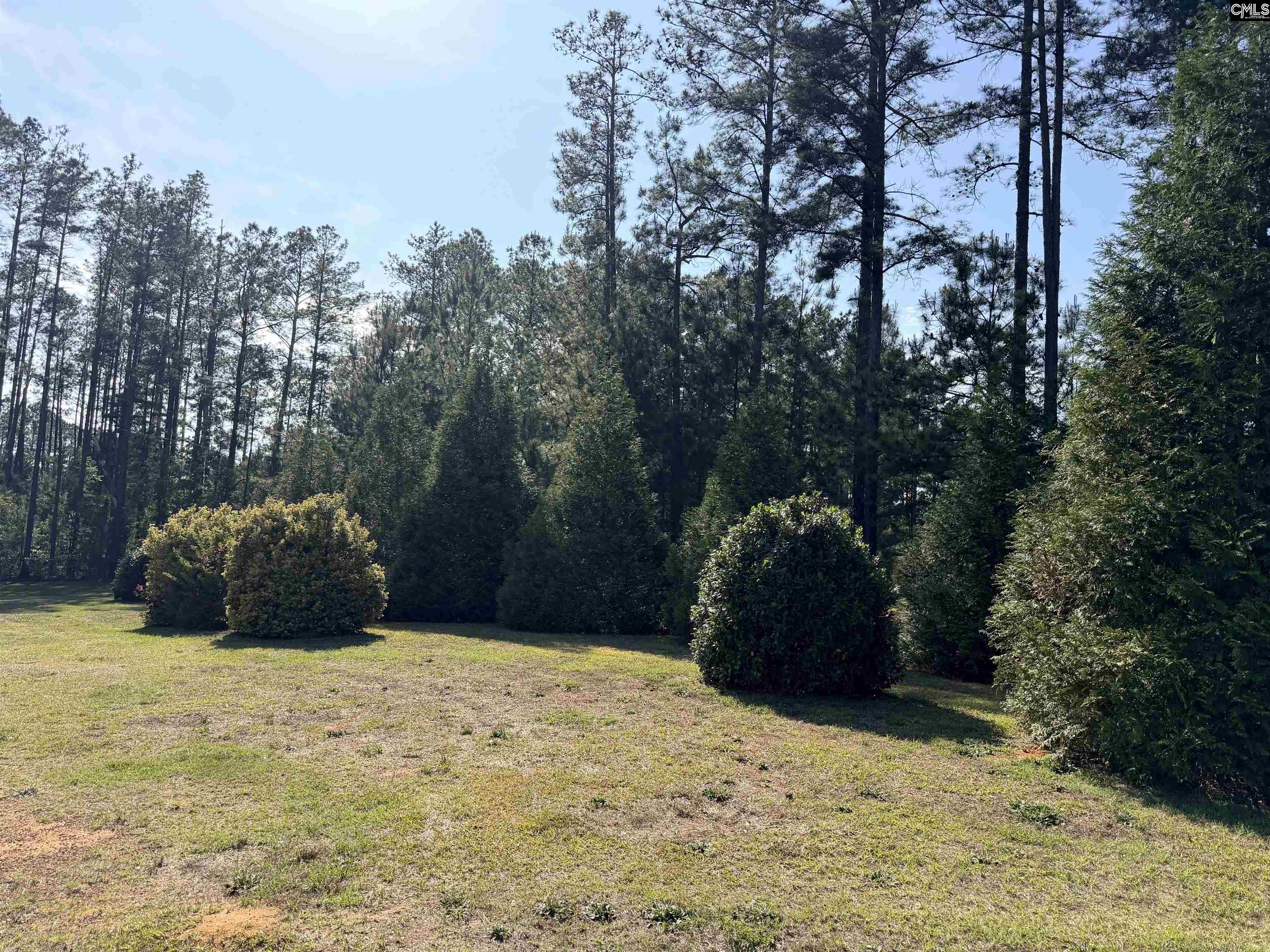 72 Favor Road Camden, SC 29020 - Photo 8 of 53