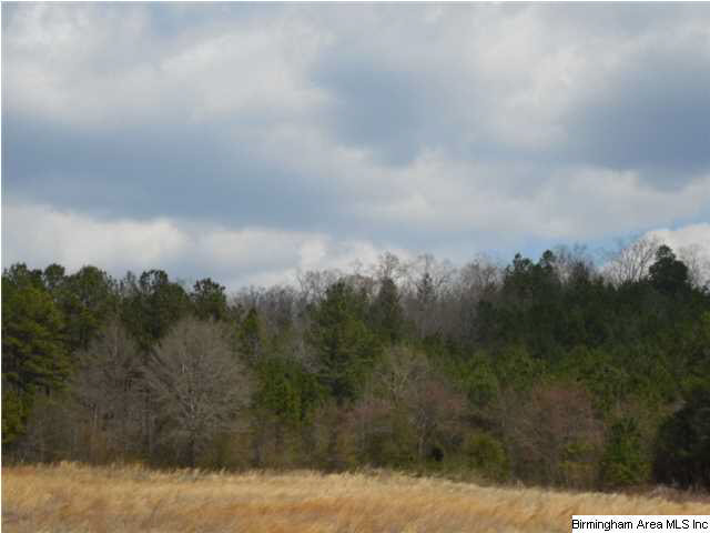 0 Rainbow Ridge Road, Unit 30 ACRES Anniston, AL 36207 - Photo 2 of 12