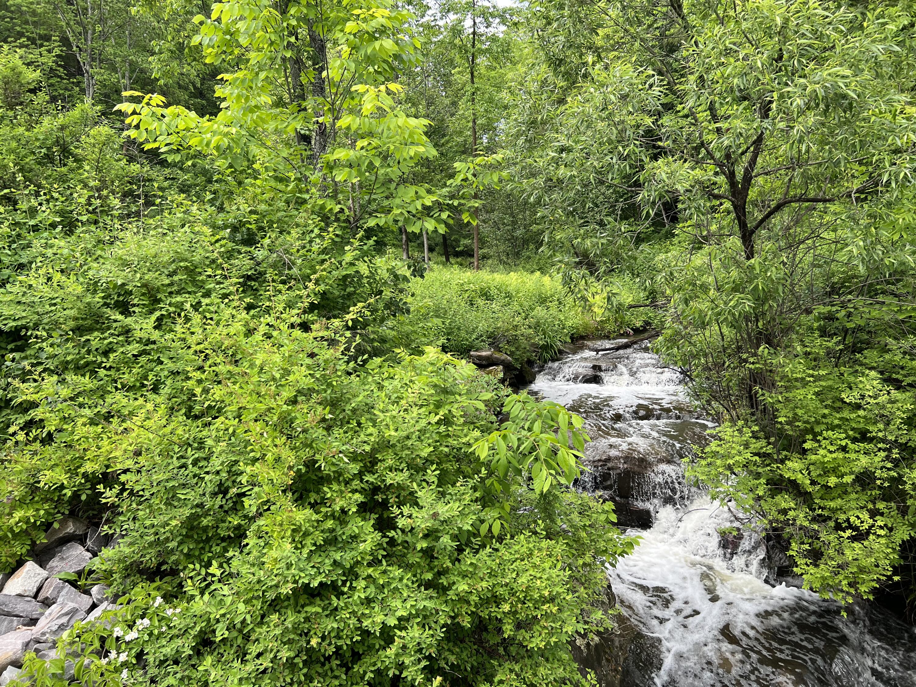 Map9-lot61 Bond Brook Road Augusta, ME 04330 - Photo 11 of 26 IMG_8895