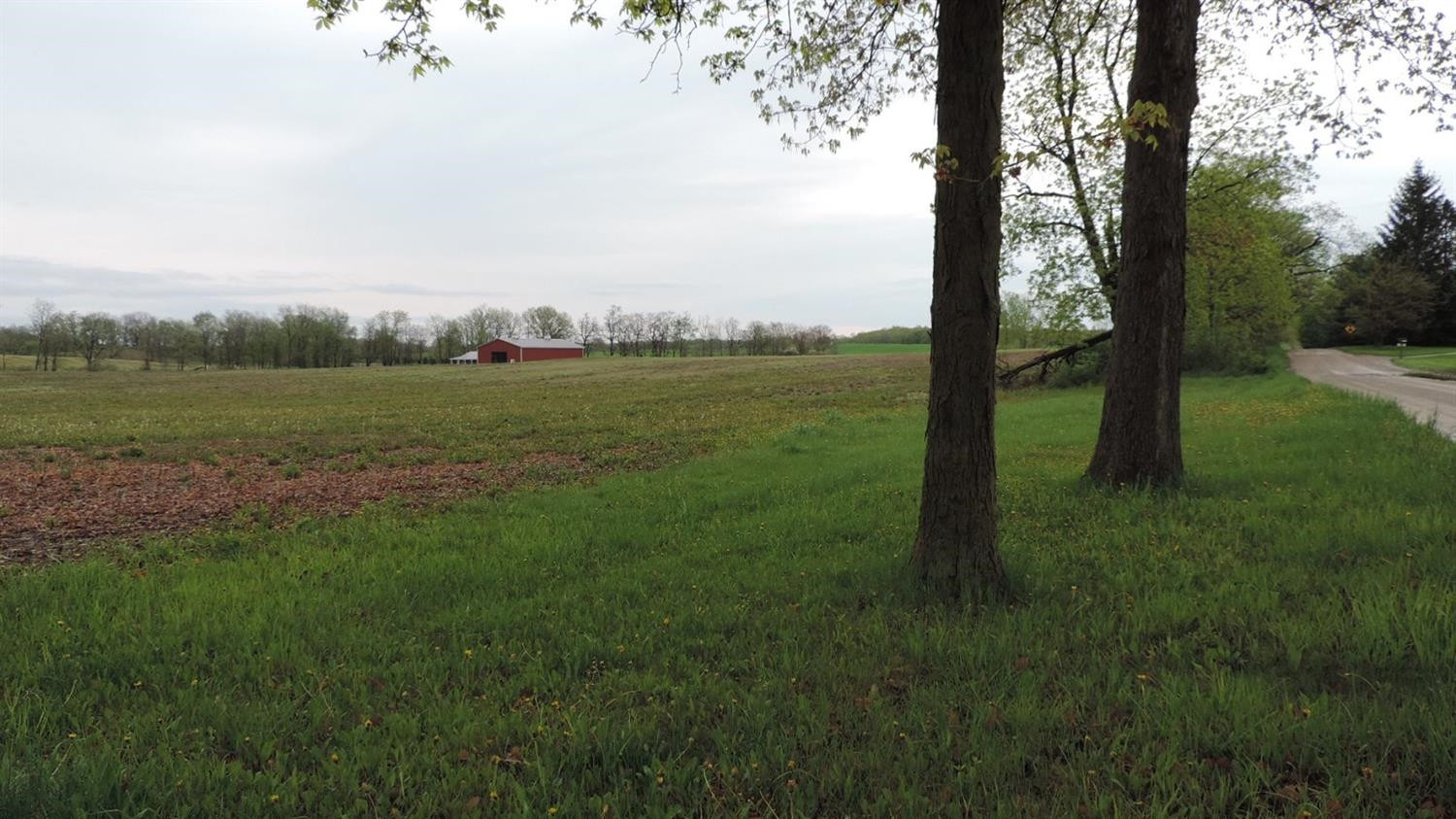 0 Lindemann Road Ann Arbor, MI 48103 - Photo 3 of 5 Photo 3