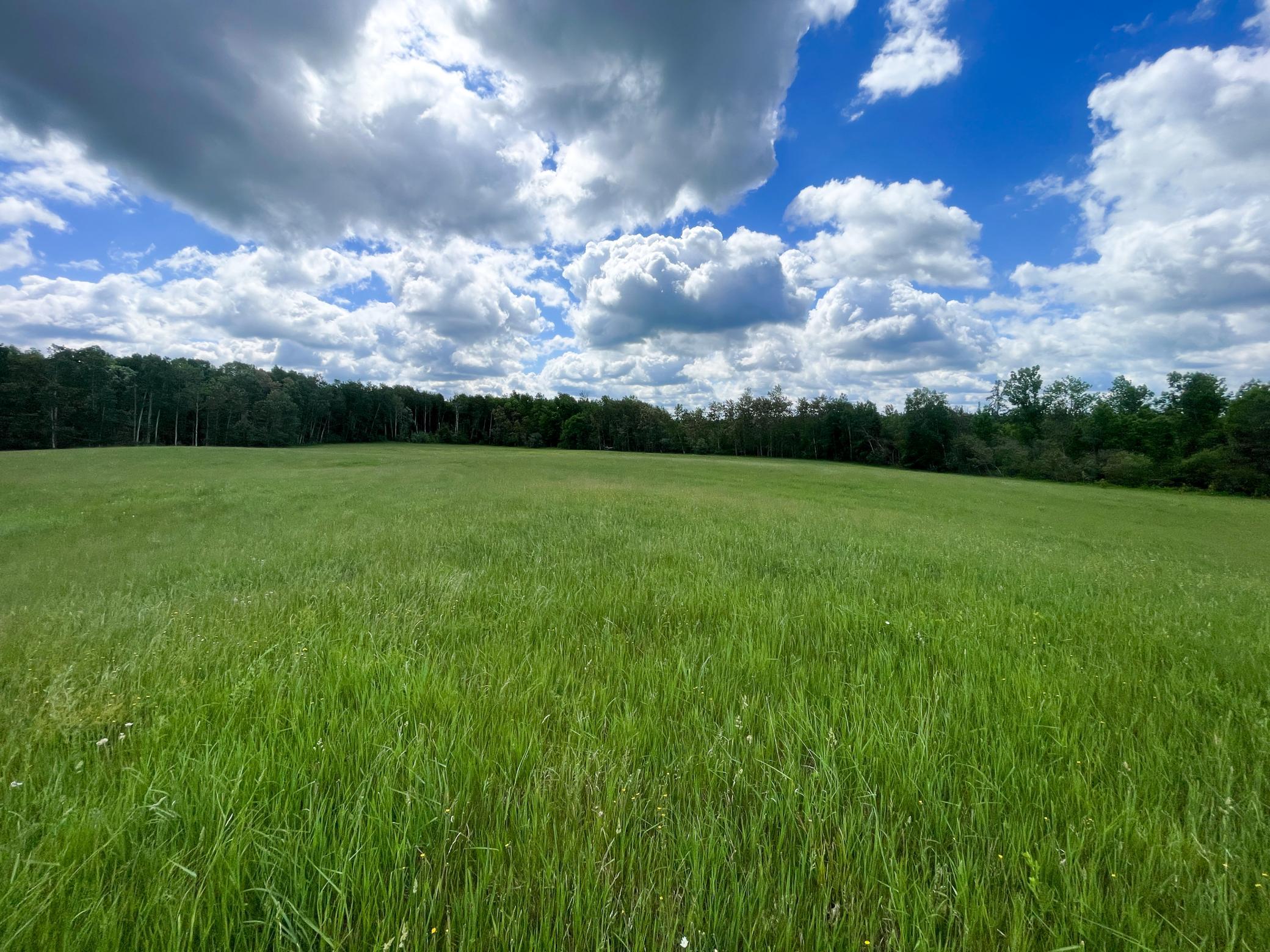 Tbd2 Mud Lake Road Bagley, MN 56621 - Photo 28 of 46