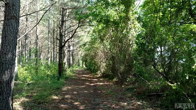 335 Puddin Ridge Road Moyock, NC 27958 - Photo 24 of 29 Cleared trail for riding