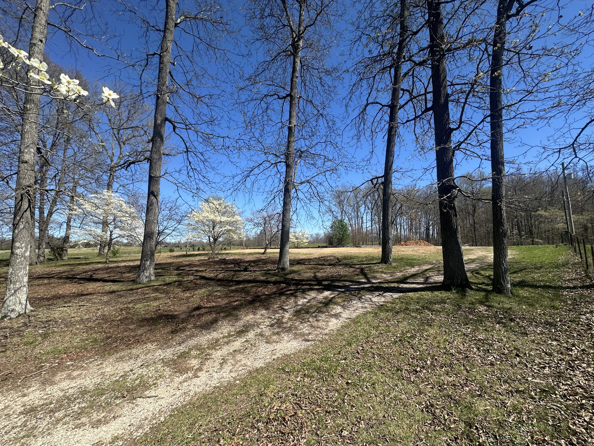 5149 Arnold Thomas Road Silver Point, TN 38582 - Photo 6 of 21 Gallery Image 6