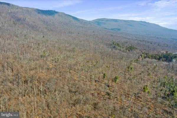 a view of a dry field with mountains in the background