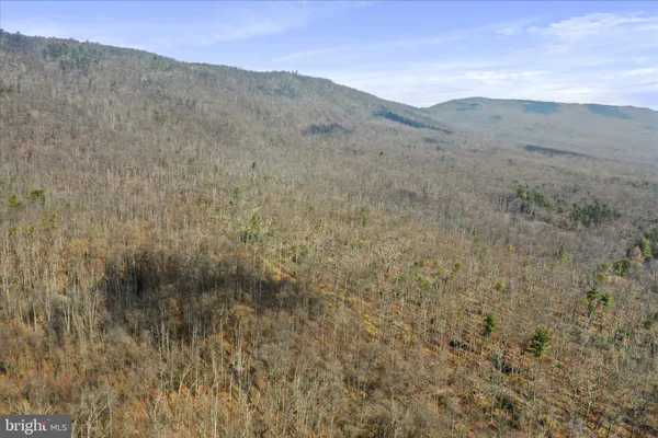 a view of a dry field with mountains in the background