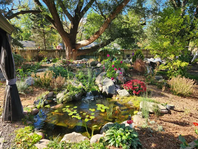 a picture of flowers