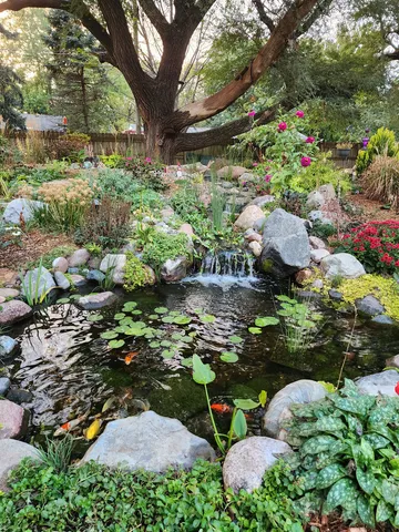 a garden view with a sitting space