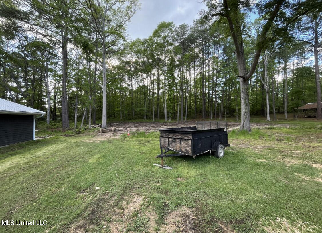 1659 Highway 471 Brandon, MS 39042 - Photo 14 of 19 IMG_6150