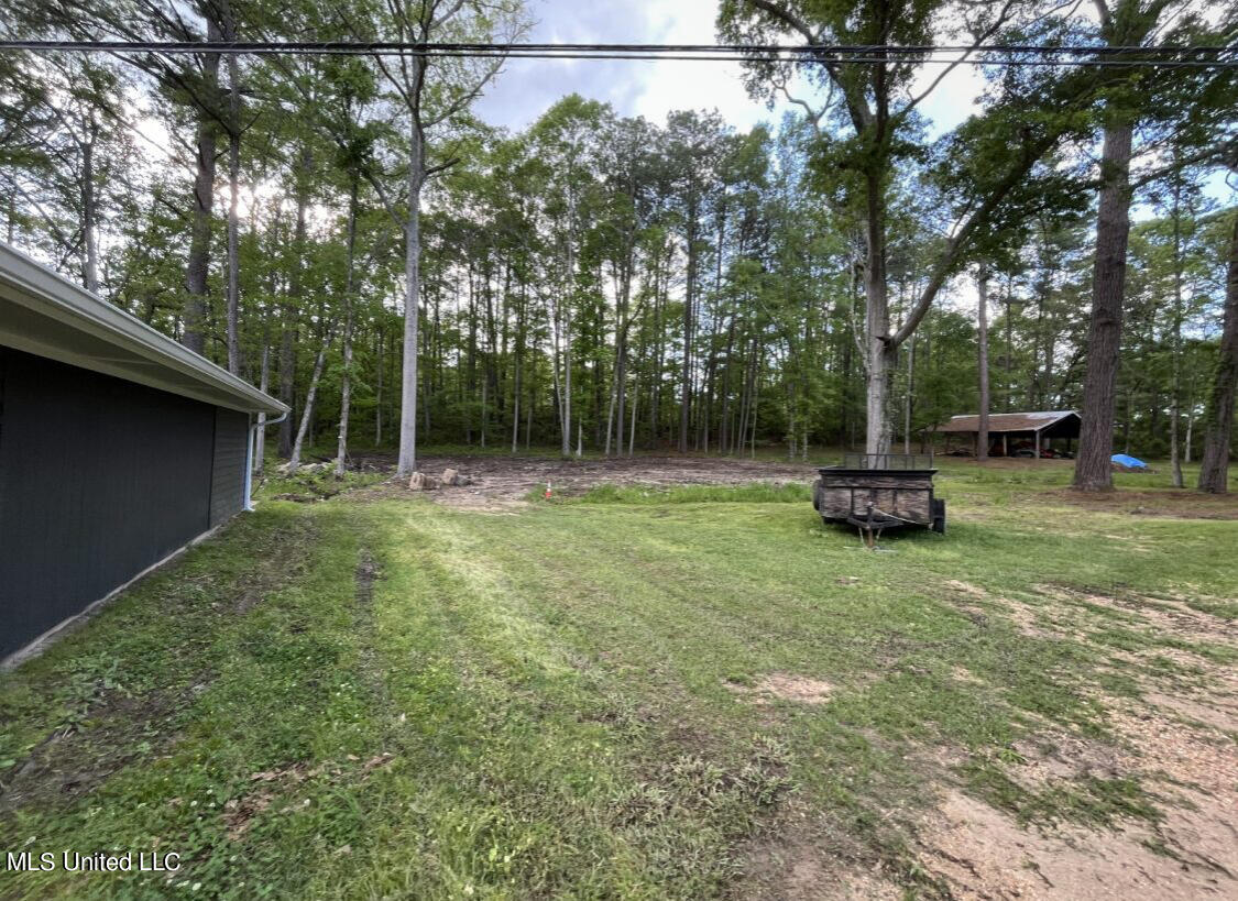1659 Highway 471 Brandon, MS 39042 - Photo 15 of 19 IMG_6149