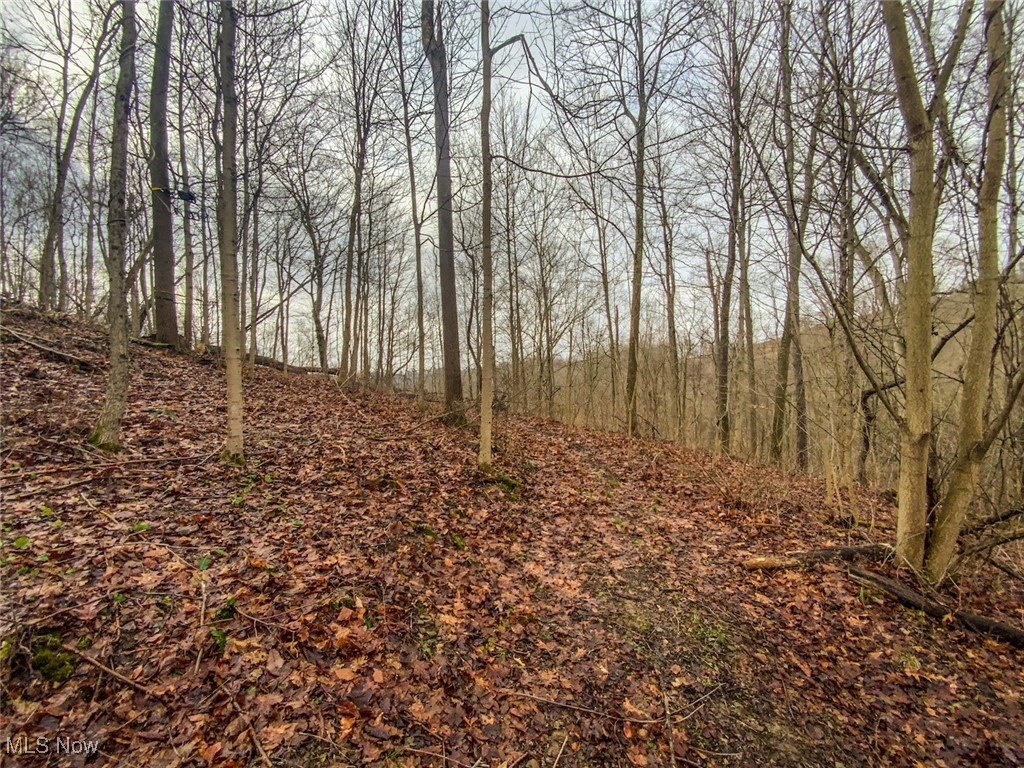 0 New Cut Road Shadyside, OH 43947 - Photo 14 of 37 View of nature